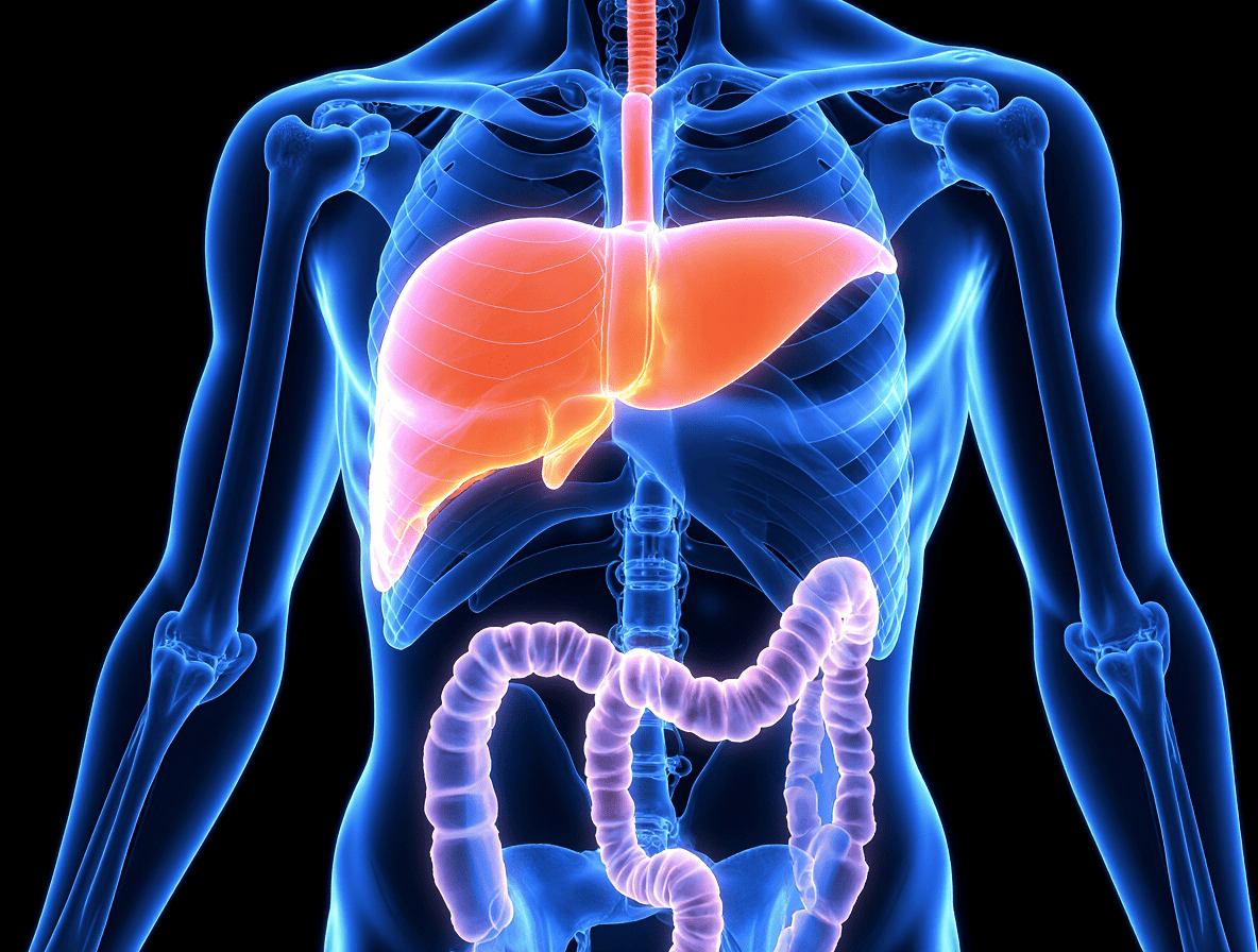 Как улучшить работу желчного пузыря Как улучшить работу желчного пузыря